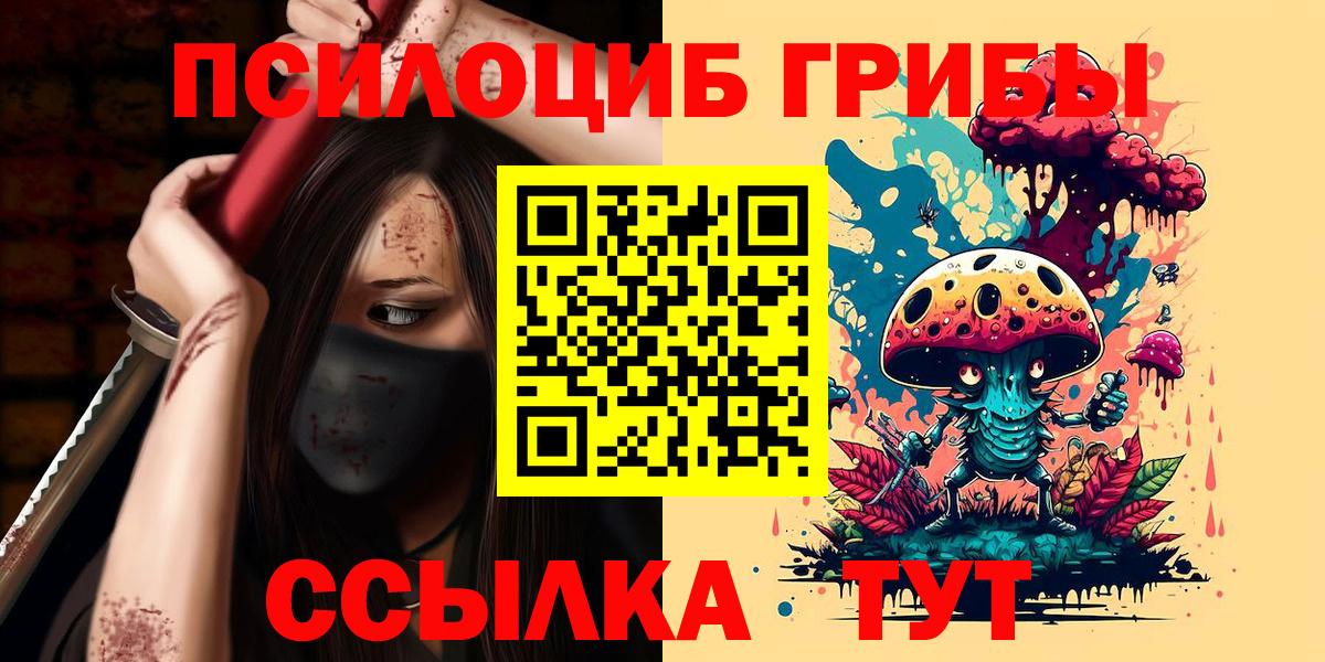 Клинцы  как найти закладки  Вход с VPN  Псилоцибиновые грибы Cubensis  Псилоцибиновые грибы GOLDEN TEACHER 